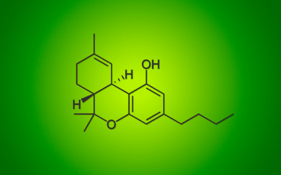 Du cannabis légal ?