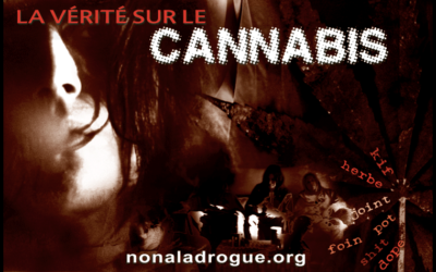 Brochure La vérité sur le cannabis