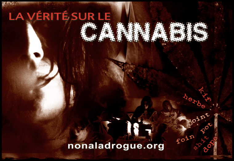 Brochure La vérité sur le cannabis