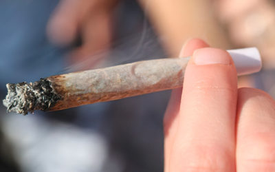 Des faits sur le cannabis – éduquer les jeunes