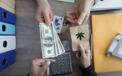 Denrées alimentaires avec mention CBD – un constat lamentable !