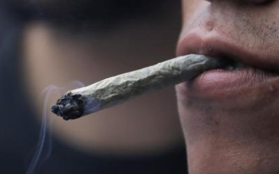 Cannabis: prévention d’abord