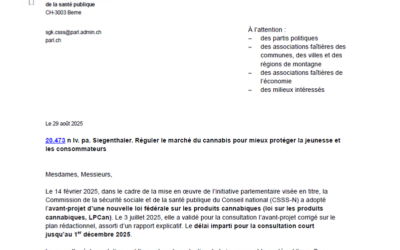 Notre avis suite à la consultation de la loi sur les produits cannabiques (LPCan)